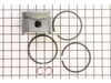 Piston Assembly-std – Part Number: 499956