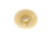 Starter Pulley – Part Number: 505303735