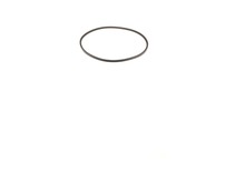 Belt – Part Number: 506372720