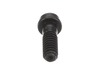 Screw – Part Number: 503218874