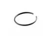 Spring, Crankshaft Seal Retain – Part Number: 510142