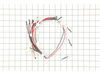 HARNESS – Part Number: 318232401