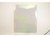 Interior Door Glass – Part Number: 318238000