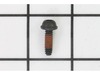 Screw – Part Number: 530015875