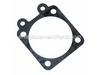 Metering Diaphragm Gasket – Part Number: 530035165