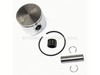 Kit-Piston – Part Number: 530069454