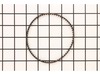 Belt – Part Number: 531008636