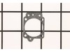 Gasket – Part Number: 531008659