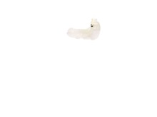 Tank Unit – Part Number: 537068602