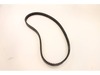 Drive Belt – Part Number: 539110859