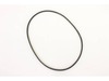 Izt Belt – Part Number: 539111445