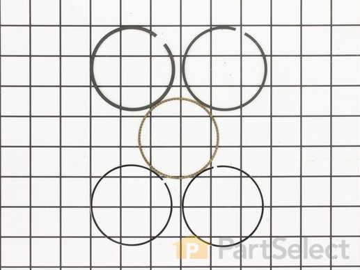 9034607-1-M-Briggs and Stratton-590403-Ring Set-020