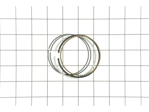 9035698-1-M-Briggs and Stratton-590742-Ring Set-010