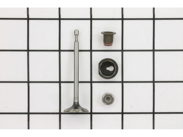 9036049-1-M-Briggs and Stratton-590530-Valve-Intake