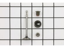 Valve-Intake – Part Number: 590530