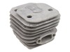 Cylinder W/piston – Part Number: 544222802
