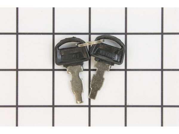 9037155-1-M-Briggs and Stratton-590996-Key Set