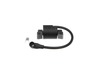 Armature-Magneto – Part Number: 590454