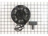 Rewind Starter – Part Number: 590739