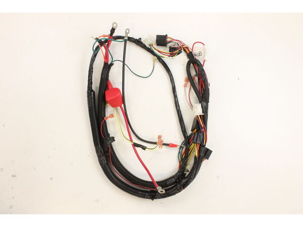 9048267-1-M-MTD-629-04103-Wire Harness