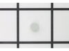 Idle Restrictor Screw Cap – Part Number: 640053