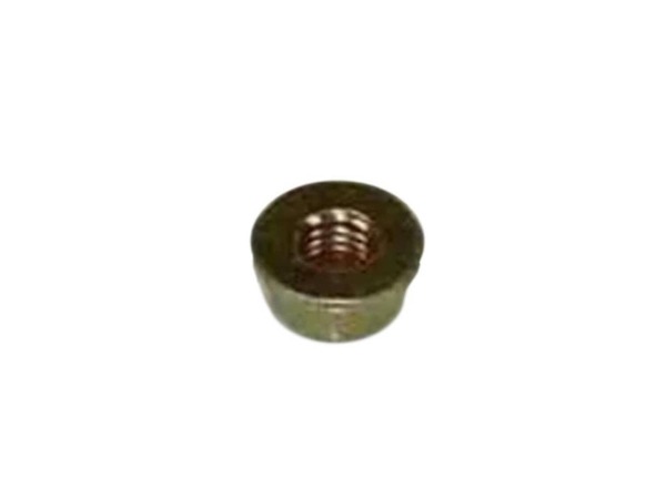 9055558-1-M-Ariens-6545400-Nut, Locking Nylon Flange .31-18