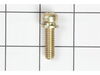 Screw (T-30, 5/16-18x1-3/32) – Part Number: 650378