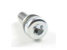 Screw – Part Number: 650431