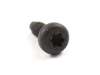 Screw, Diaphragm Cover – Part Number: 650545