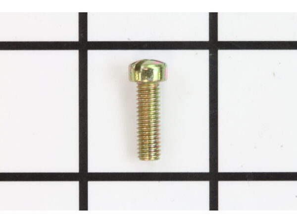 9062006-1-M-Briggs and Stratton-690278-Screw
