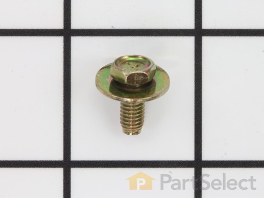 9062008-1-M-Briggs and Stratton-690316-Screw