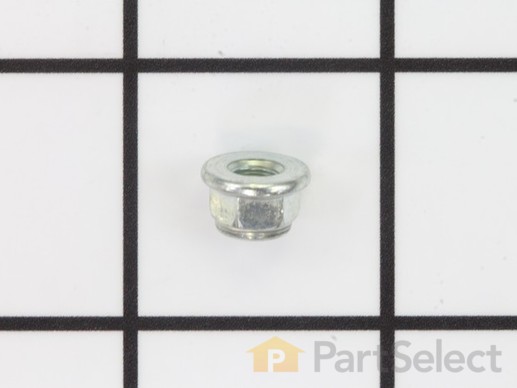 9063536-1-M-Briggs and Stratton-690713-Nut