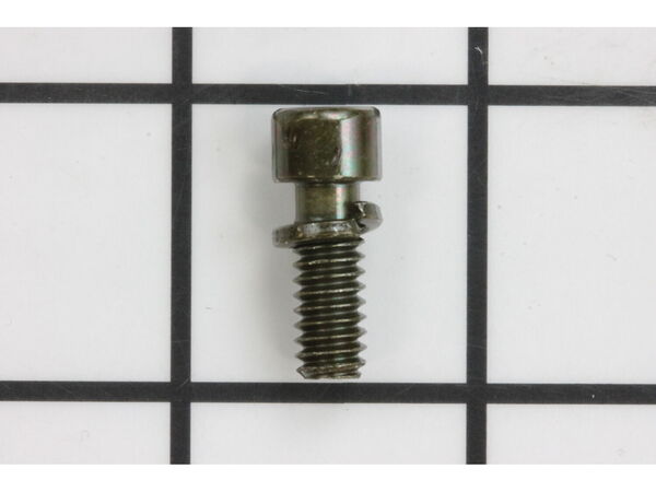 9065244-1-M-Briggs and Stratton-699554-Screw