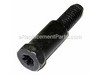 Screw – Part Number: 695399
