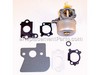 Carburetor – Part Number: 694505