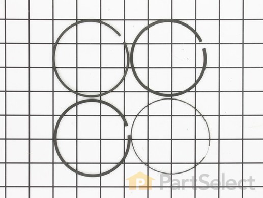 9066458-1-M-Briggs and Stratton-697685-Ring Set-020
