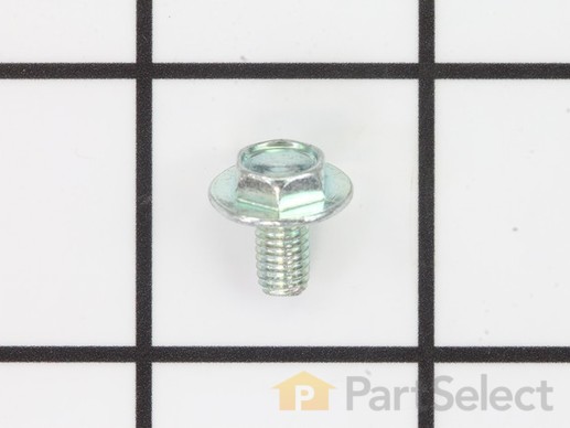 9066982-1-M-Briggs and Stratton-699206-Screw