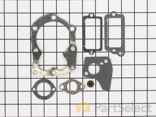 9066993-1-M-Briggs and Stratton-699450-Gasket Set-Valve