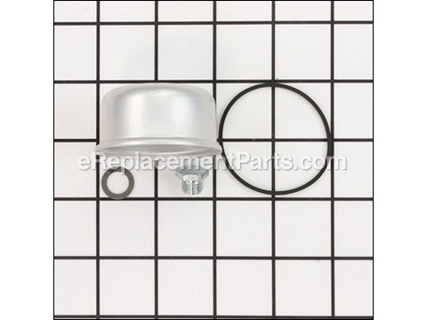 9068692-1-M-Briggs and Stratton-699670-Guard-muffler