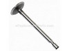 Valve-Intake – Part Number: 691804