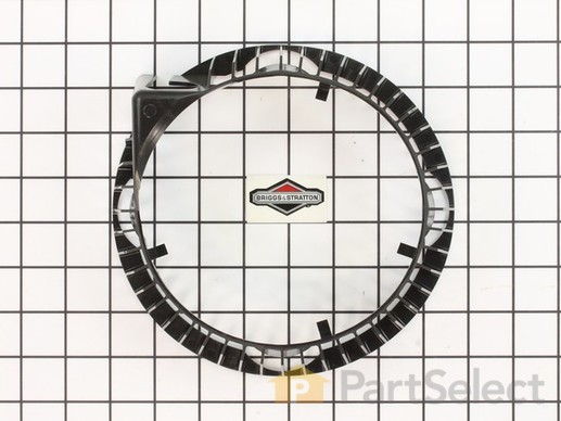 9074279-1-M-Briggs and Stratton-691904-Guard-Rewind