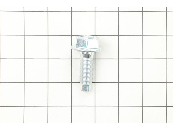 9077657-1-M-Briggs and Stratton-698139-Screw