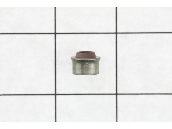 9091508-1-M-Briggs and Stratton-710979-Seal-valve