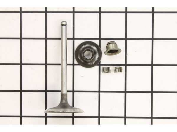 9093282-1-M-Briggs and Stratton-716080-Valve-Intake