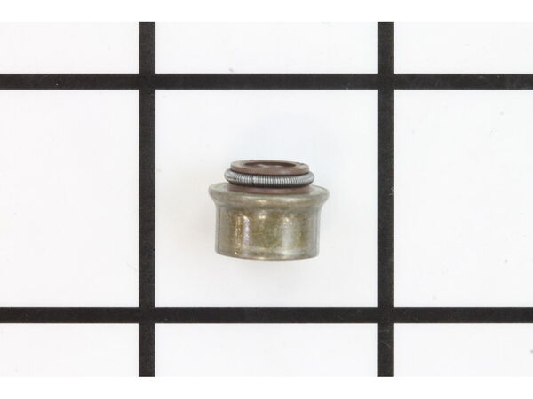 9093728-1-M-Briggs and Stratton-710863-Seal-valve