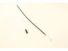 Throttle Cable – Part Number: 753-05883