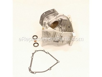 9137498-1-M-Briggs and Stratton-794850-Cylinder Assembly