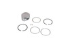 Piston Assembly-020 – Part Number: 791791