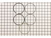 Ring Set-020 – Part Number: 794127