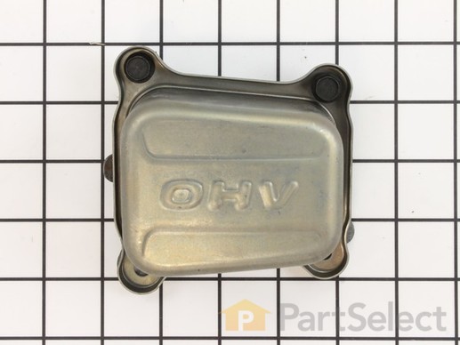 9137974-1-M-Briggs and Stratton-796479-Cover-Rocker